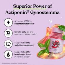 Lemme Burn AMPK Activator Fat Burner,Actiponin Gynostemma, Green Tea Extract,B6 & B12,Belly Fat Support & Metabolism Booster For Men & Women,Vegetarian, Gluten-Free,60 Capsules